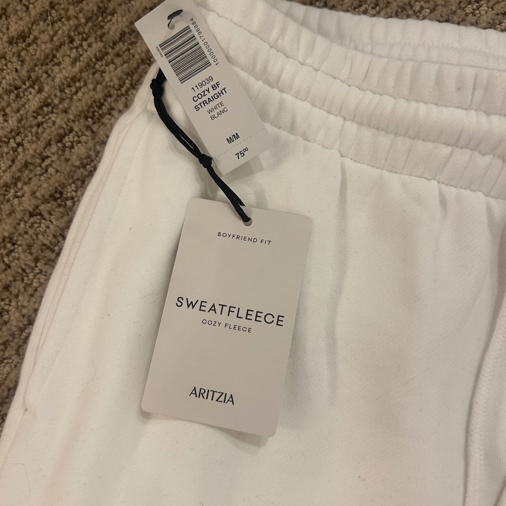 NWT sweat fleece aritzia boyfriend fit sweatpants